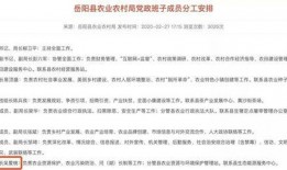 岳阳最新新闻爆料网址,揭秘城市动态，聚焦热点事件